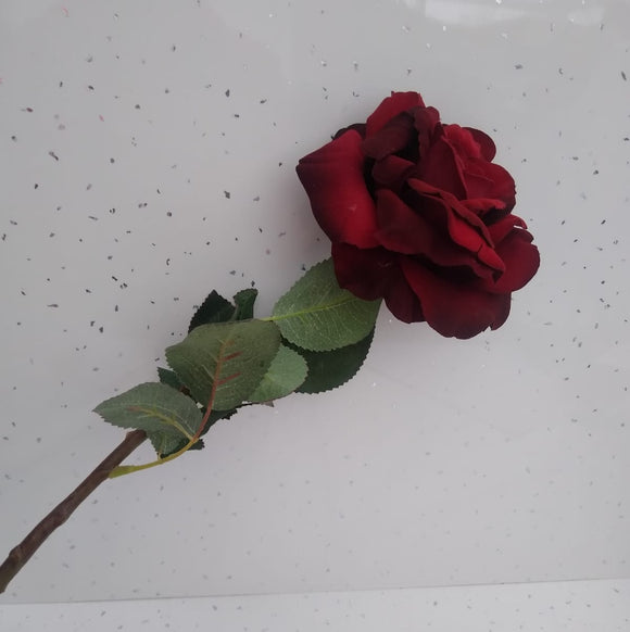 Balmoral Red Rose
